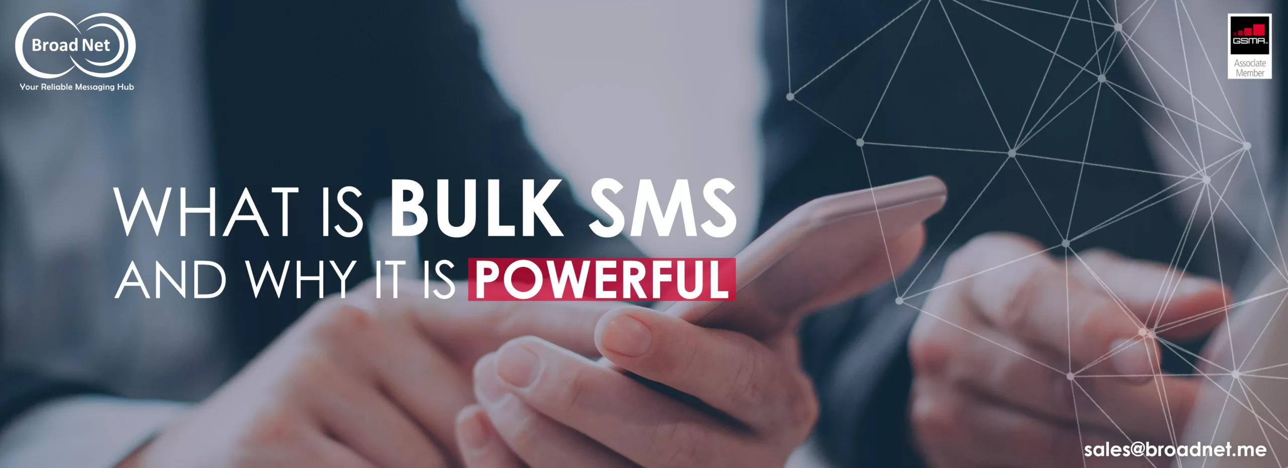 bulk sms