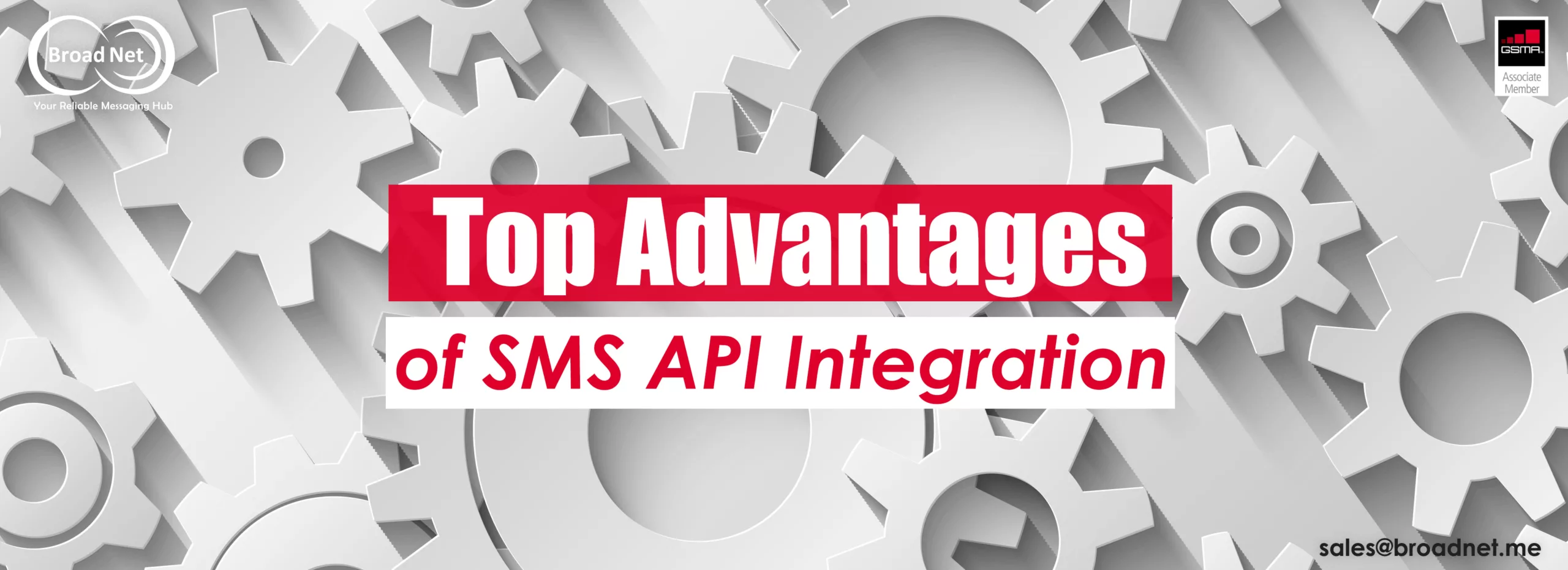 sms api integration