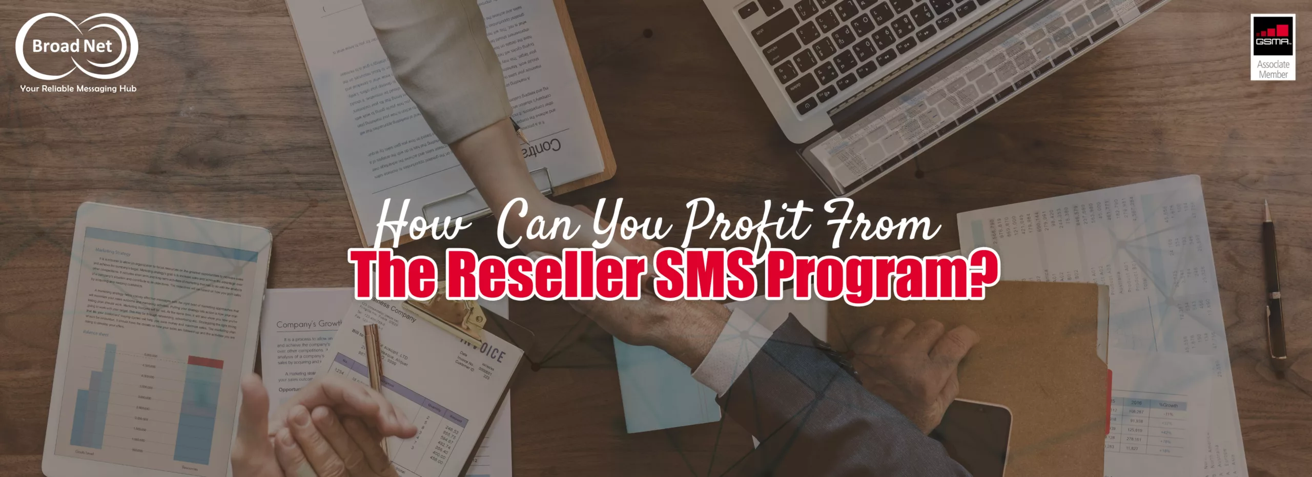 HOW CAN YOU PROFIT FROM THE RESELLER SMS PROGRAM?